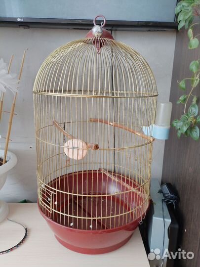 Клетка для попугая