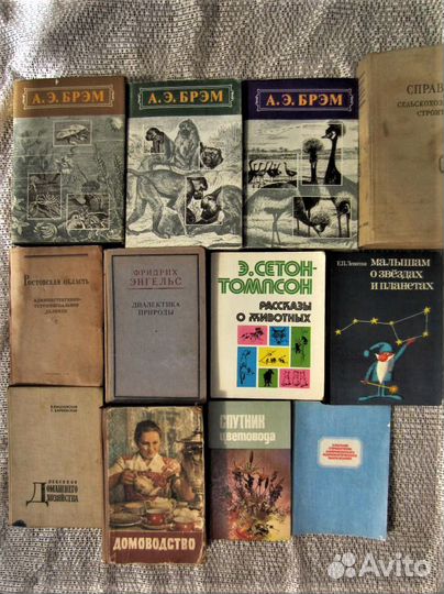 А. Аграновский. Иду искать. 1980 год