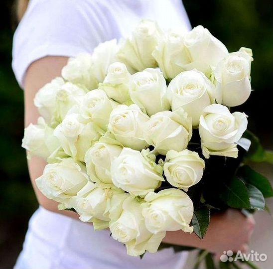 51 Роза, Букеты Цветы Розы 25 101 501 1001