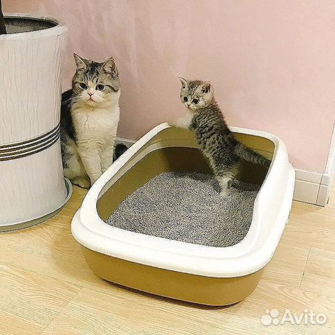 Наполнитель в кошачий туалет