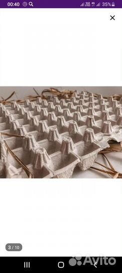 Ячейки для перепелиных яиц