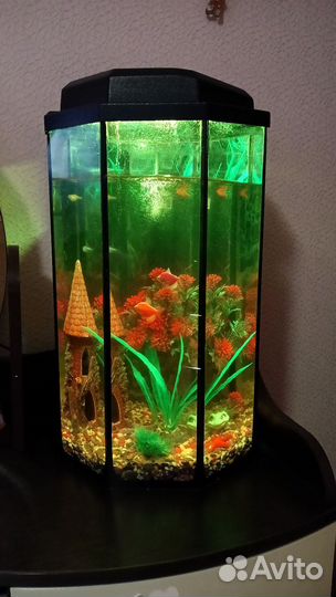 Аквариум