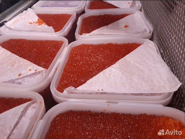 Красная икра