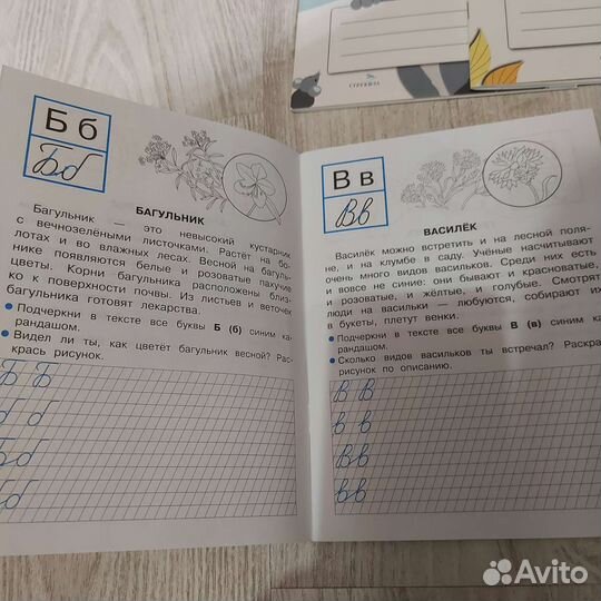 Рабочие тетради и прописи