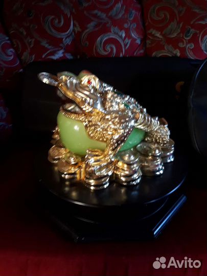 Лягушка денежная большая