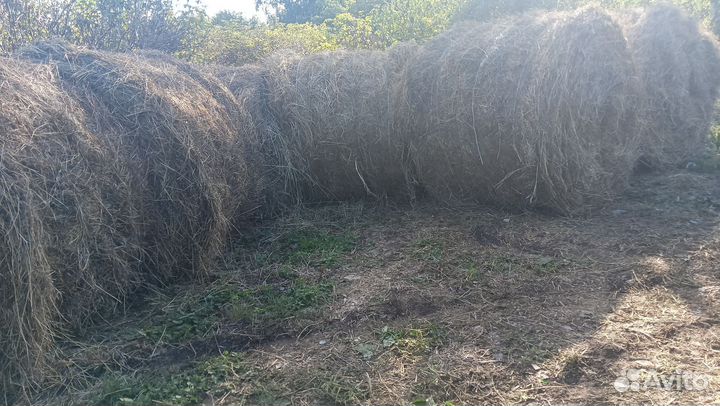 Сено рулоны