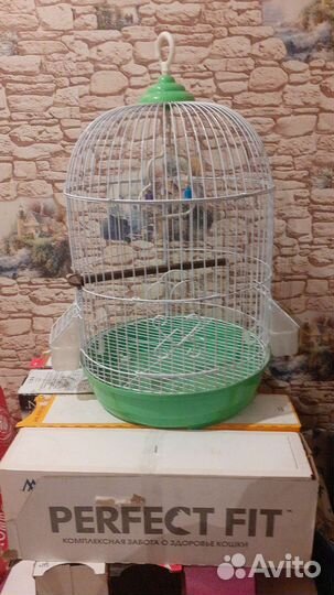 Клетки для птиц
