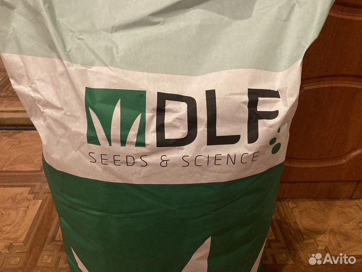 Газонная трава