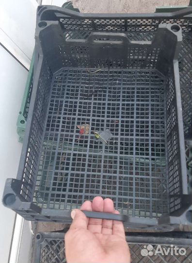 Ящик полипропиленовые прочные