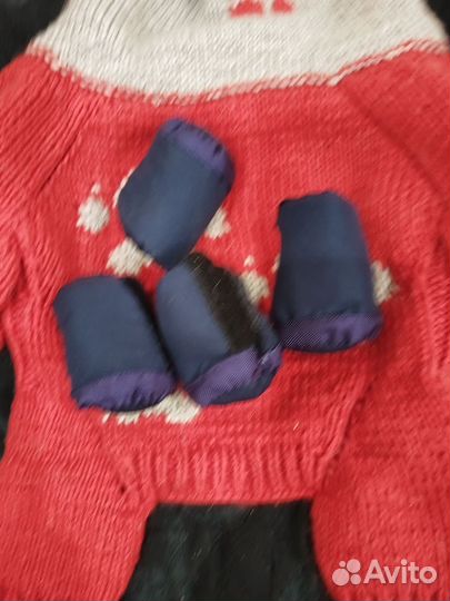 Пакет вещей для собак