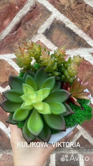Исскуственное растение суккулент