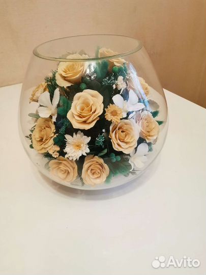 Живые цветы в вакууме