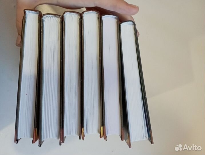 Книги коты воители на русском