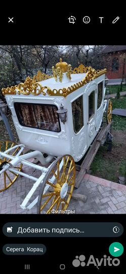 Карета для лошади