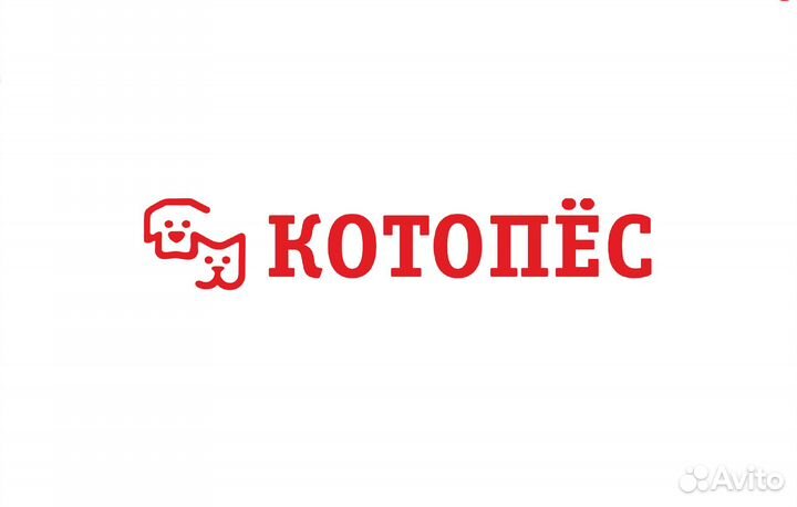 Помощник менеджера по продажам