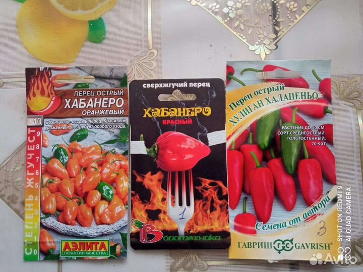 Продам семена острого перца