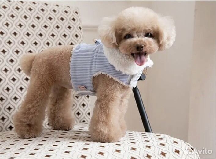 Жилетка-шлейка для собаки теплая