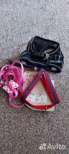 Новые шлейки, для маленьких собак