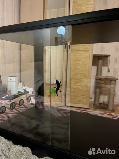 Террариум для рептилий новый (обмен)