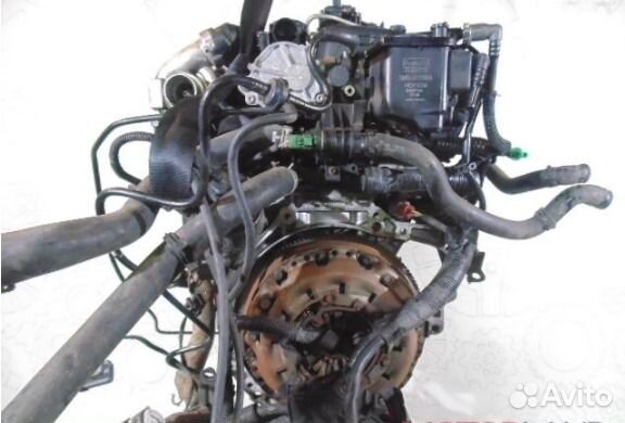 Двигатель Ford Fusion 1.6 hhjb