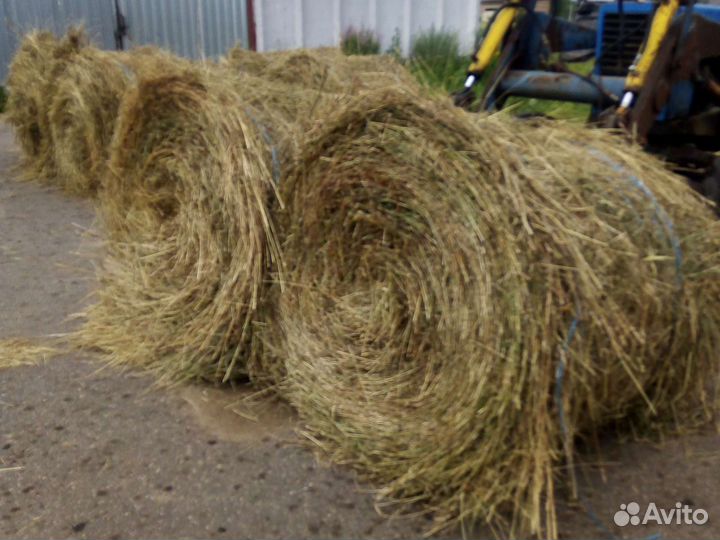 Сено в рулонах