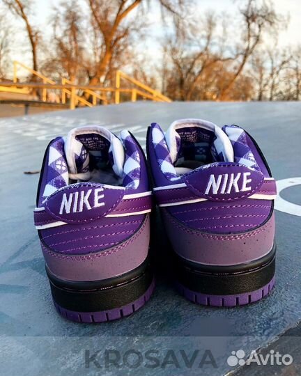 Nike Sb Dunk Purple Lobster