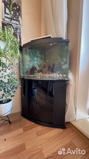 Аквариум с тумбой