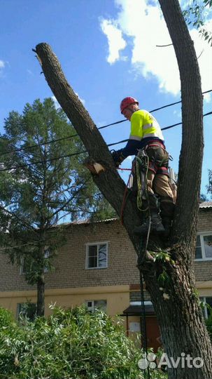 Камешковский р-н. Спилить дерево.Опиловка деревьев