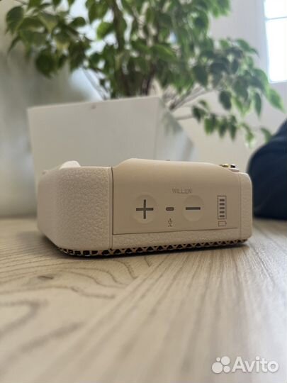 Колонка marshall willen