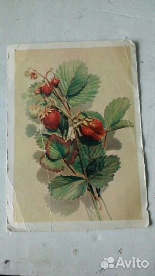 Открытка СССР