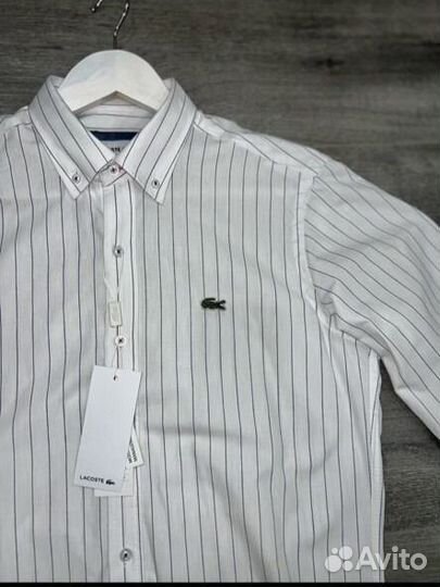 Рубашка lacoste
