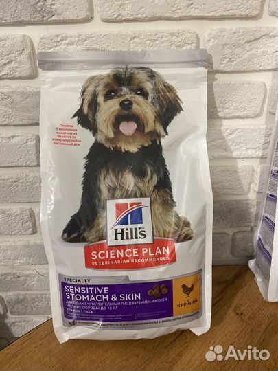 Корм для собак