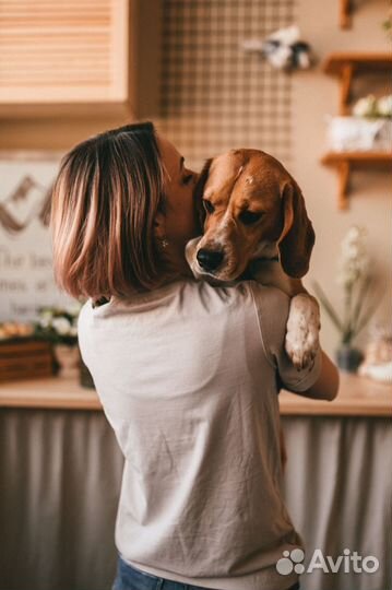 Кинолог Онлайн Дрессировка и воспитание собак