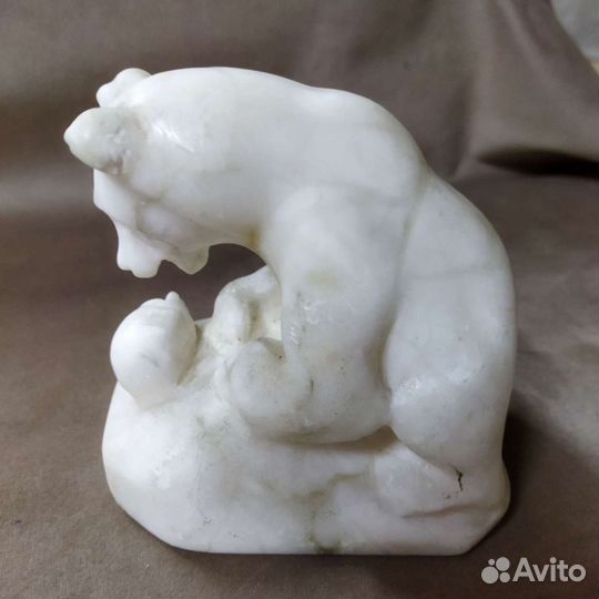 Мраморный медведь