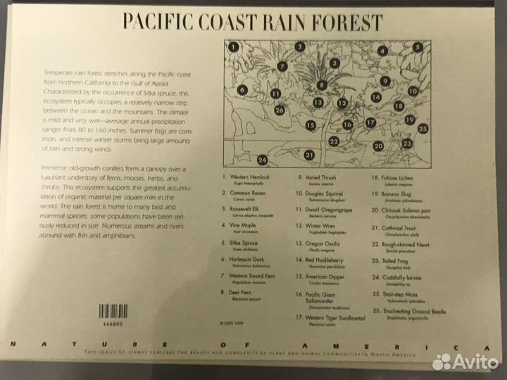 Марки nature of america вся серия