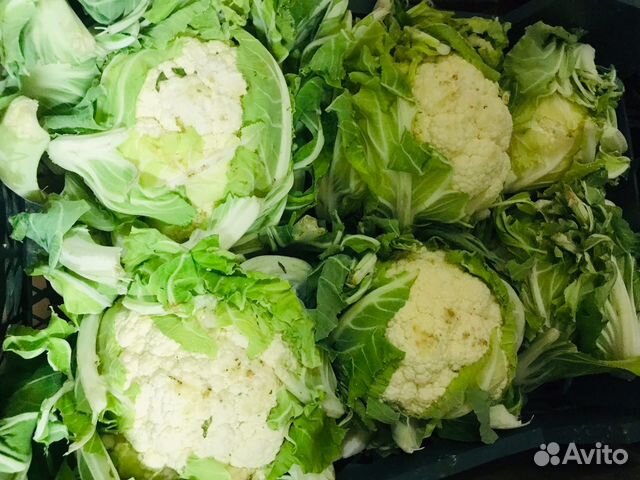 Доставка продуктов и овощей