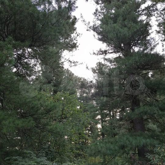 Участок 5 сот. (ИЖС)