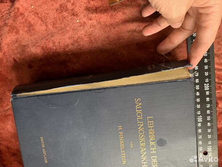 Lehrbuch der Säuglingskrankheiten 1924