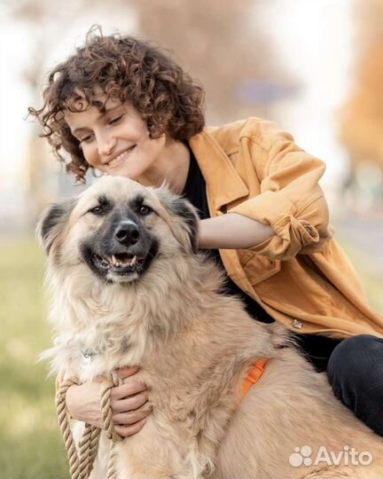 Обаятельная красотка из приюта ищет дом