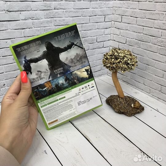 Диск Xbox 360 Shadow of Mordor