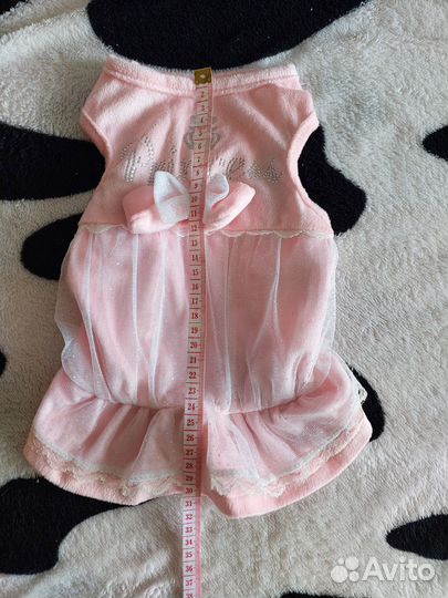 Одежда для собак