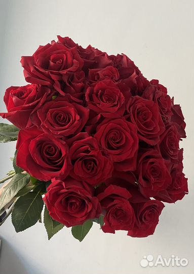 Букет из 25 красных роз