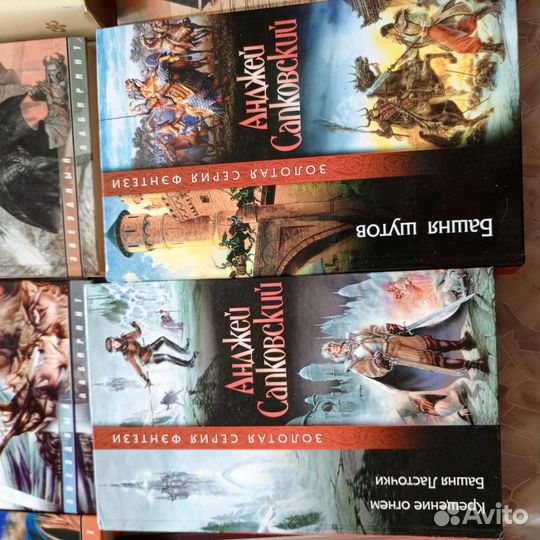 Книги фентези/Сапковский/Дерини/Шоколад/Ван Гулик