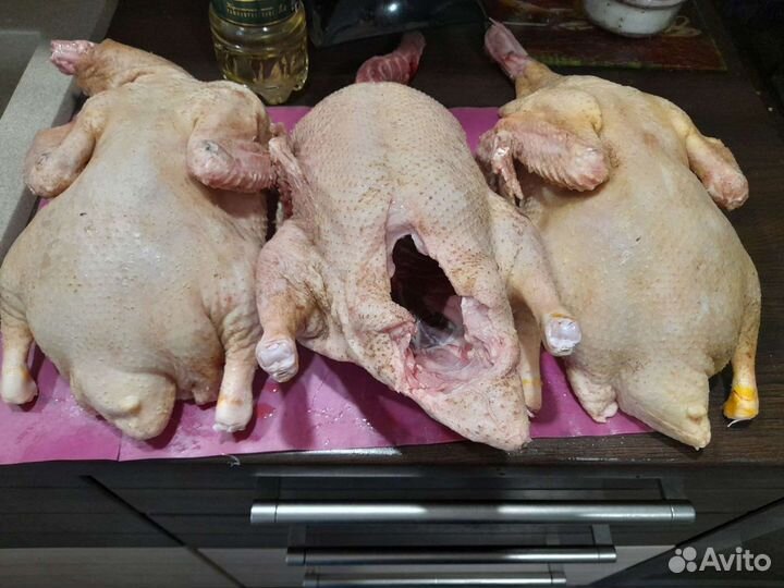 Утка Муллард домашняя, мясо