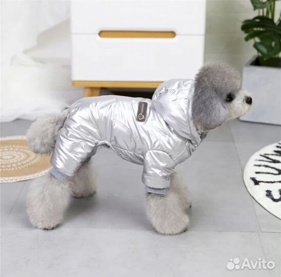 Одежда для собак