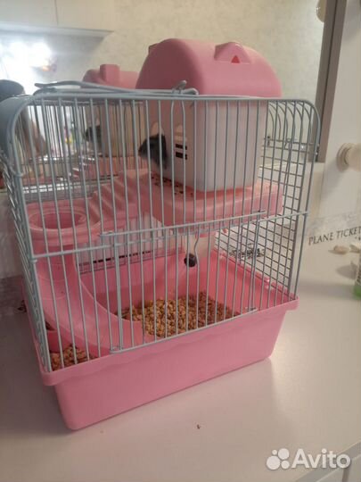 Продаю хомячка девочка