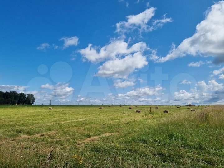 Участок 17 сот. (ИЖС)