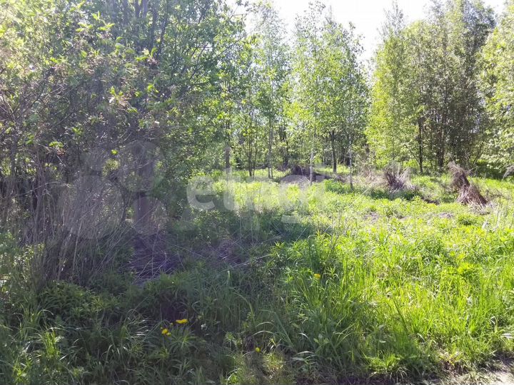 Участок 5,4 сот. (СНТ, ДНП)