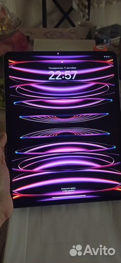 iPad pro 12.9 m2 2022 256gb