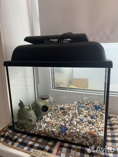 Аквариум